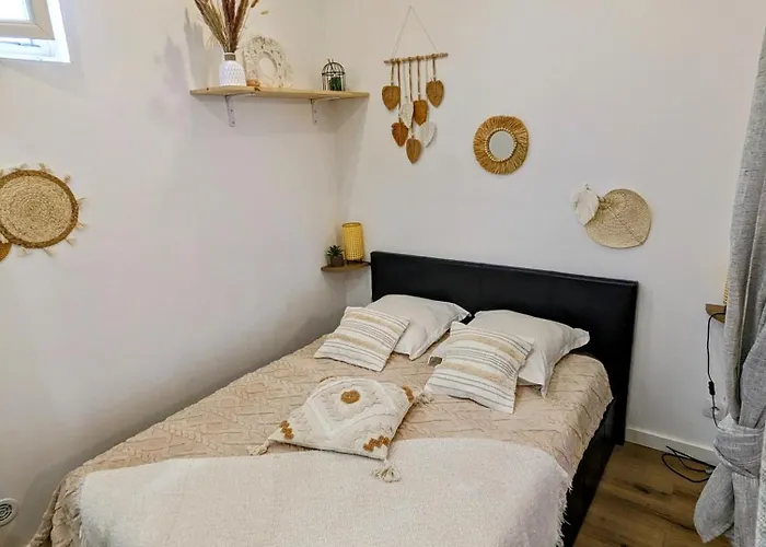 Cosy Proche Du Port Apartment